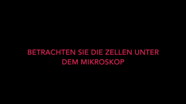 thumbnail of medium Versuch Molekulare Zellbiologie - Zellkultur