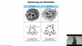 thumbnail of medium TB6 - 17-18 - Scheller - Abschnitt 3 - IgA-Mangel und Allergie