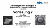 thumbnail of medium VorlesungBio130Zoologie2025-7-Annelida
