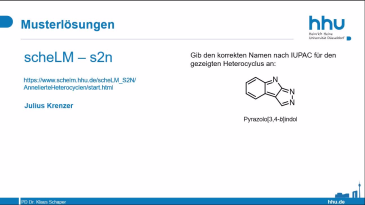 thumbnail of medium scheLM s2n Beispiel 040