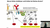 thumbnail of medium TB6 - 16 - Scheller - Abschnitt 3 - Immunzelldefizienzen