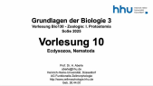 thumbnail of medium VorlesungBio130Zoologie2025-10-Nematoda
