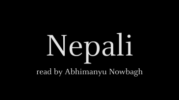 thumbnail of medium Loreley Nepali