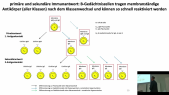 thumbnail of medium TB6 - 9 - Scheller - Abschnitt 2 - Antikörperklassenwechsel und B-Zellgedächtnis