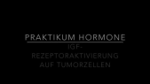 thumbnail of medium Versuch Hormone II - IGF-GFP-Zellfärbung