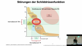 thumbnail of medium 03 - TB8 Biochemievorlesung Scheller - SS2024 - Schilddrüsenhormone