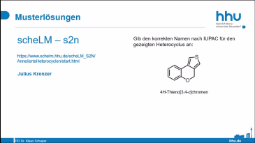 thumbnail of medium scheLM s2n Beispiel 029