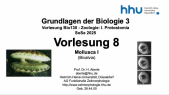 thumbnail of medium VorlesungBio130Zoologie2025-8-Mollusca-I