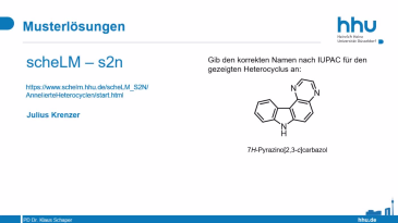 thumbnail of medium scheLM s2n Beispiel 049