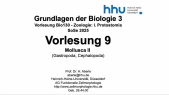 thumbnail of medium VorlesungBio130Zoologie2025-9-Mollusca-II