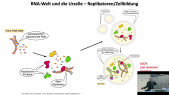 thumbnail of medium TB1 - Vorlesung Zellbiologie Scheller - WiSe 2024-2025 - Einführung in die Zellbiologie aus Sicht der Biochemie - 2. Stunde