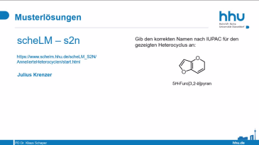 thumbnail of medium scheLM s2n Beispiel 018