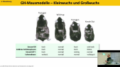 thumbnail of medium TB8 - 04 - Scheller - Entwicklung 2 - Wachstumshormonachse